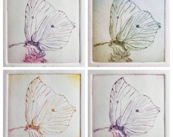 Radierung eines Schmetterlings "Zitronenfalter" inklusive Passepartout, Etching of a Common Brimstone Butterfly including Passepartout
