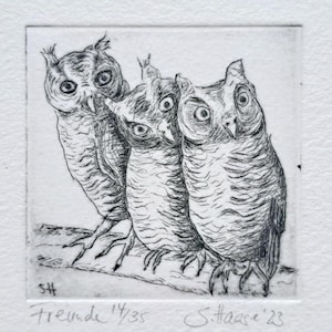 Owls, owl, eagle owl, little screech owl, original etching including passepartout, original etching of three owls, owl including passepartout
