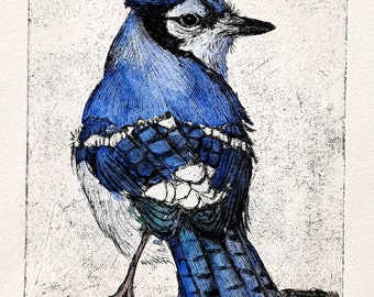 Blue jay, original etching colored - Blue Jay Bluejay, original Etching, colored