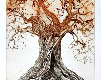 Original etching of an old olive tree, tree, aquatint, large, Large original Aquatint Etching of an Old Olive Tree