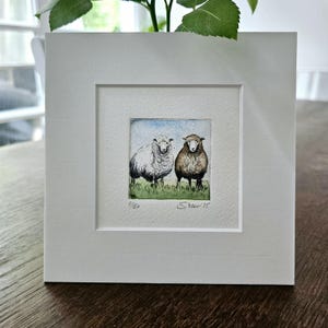 Original Radierung Schafe, Schaf mit Passepartout, original Etching Sheep with Passepartout.