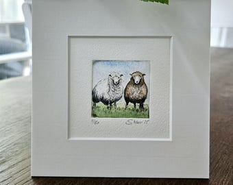 Original etching sheep, sheep with passepartout, original etching sheep with passepartout.