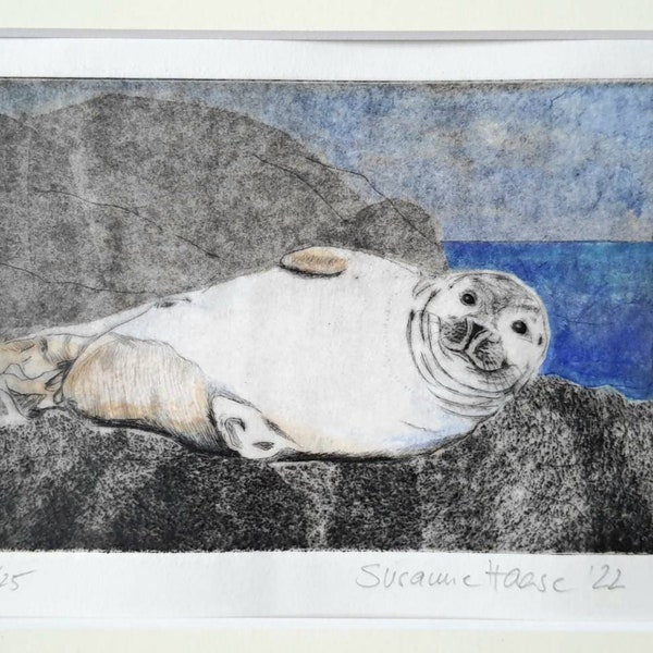 Original Robbe, Seehund Radierung mit Passepartout, original Seal Etching with Passepartout