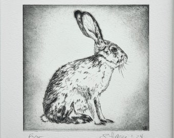 Original Radierung eines Hasen, Kaninchens, Etching of a Hare, Rabbit, Bunny original with/mit Passepartout, 10 x 10 cm, 3.9 x 3.9 inches