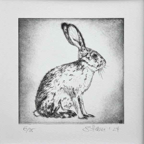 Original Radierung eines Hasen, Kaninchens, Etching of a Hare, Rabbit, Bunny original with/mit Passepartout, 10 x 10 cm, 3.9 x 3.9 inches