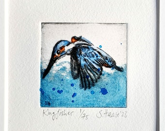 Eisvogel, original Radierung koloriert - Kingfisher original Etching, colored mit/with Passepartout/mat