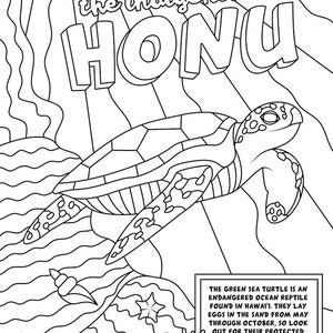 Hawaiian Coloring Book, ʻŌlelo Hawaiʻi, Honu Coloring Page