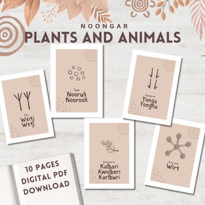 Noongar Words Animaux et plantes beige | Téléchargement numérique | Ressource éducative pour la classe | Aborigène d'Australie