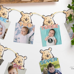 Winnie The Pooh Photo Banner, Monthly Milestone, Editable Birthday Hanging Bunting Party Flag, Photo Garland, Printable