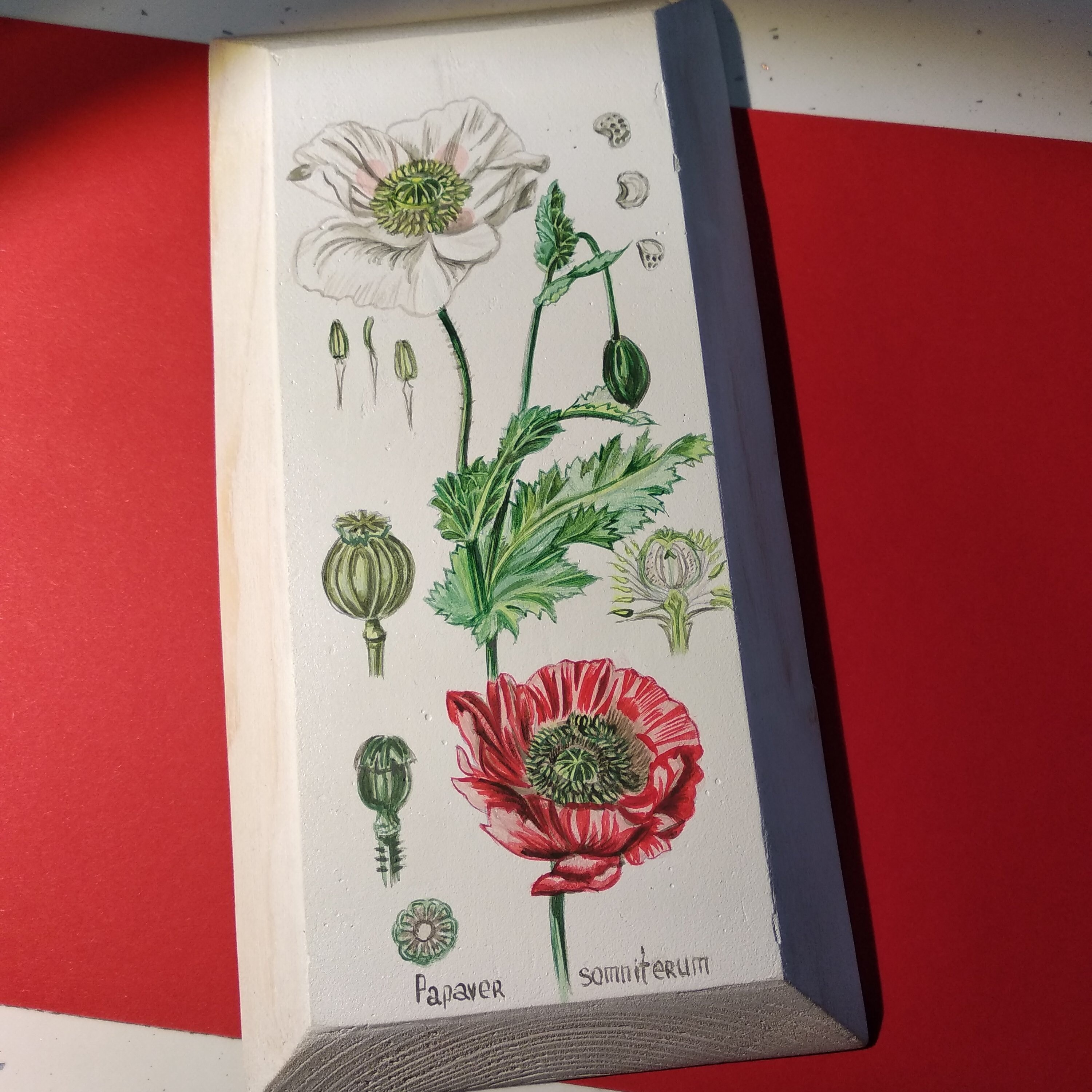 Decorative Kitchen Decor Wall Hanging poppies Botanical Painting Wood