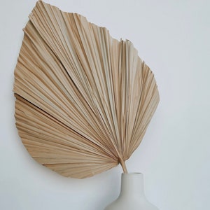 May include: A dried palm leaf in a white ceramic vase. The leaf is a light brown color and has a fan shape. The vase is a simple, modern design.
