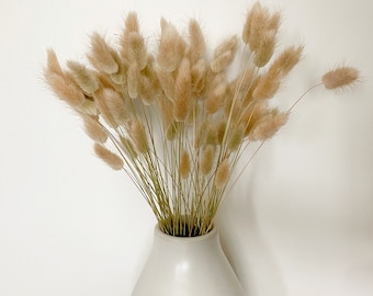 Dried Bunny Tails | Dried Lagurus (multiple colours: White/Natural/Dark Brown/Red/Pink)