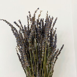 May include: A bouquet of dried lavender flowers in a clear glass vase. The lavender is a light purple color and the stems are a light brown color.