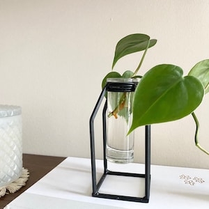 Glass Tube Vase | Plant Propagation Planter | Black Iron Stand with glass tube