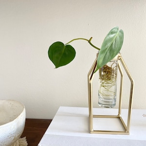 May include: A gold metal stand with a clear glass tube holding a plant with green leaves and roots. The plant is growing in water.