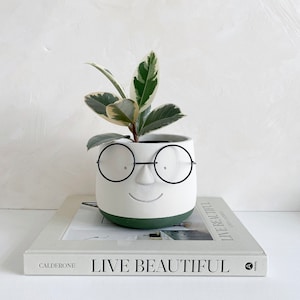 May include: A white ceramic planter with a face design, featuring black wire-rimmed glasses and a smiling mouth, holds a small plant with green and cream-colored leaves. The planter sits atop a book titled "LIVE BEAUTIFUL".