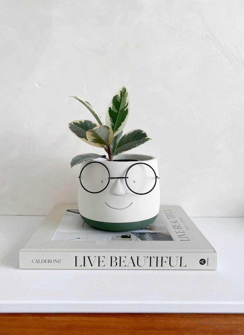May include: A white ceramic planter with a face design, featuring black wire-rimmed glasses and a smiling mouth, holds a small plant with green and cream-colored leaves. The planter sits atop a book titled "LIVE BEAUTIFUL".