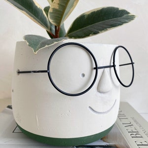 May include: A white concrete planter with a face design and black wire-rimmed glasses, holding a green and cream-colored plant. The base of the planter is painted green. The planter is sitting on top of a book.
