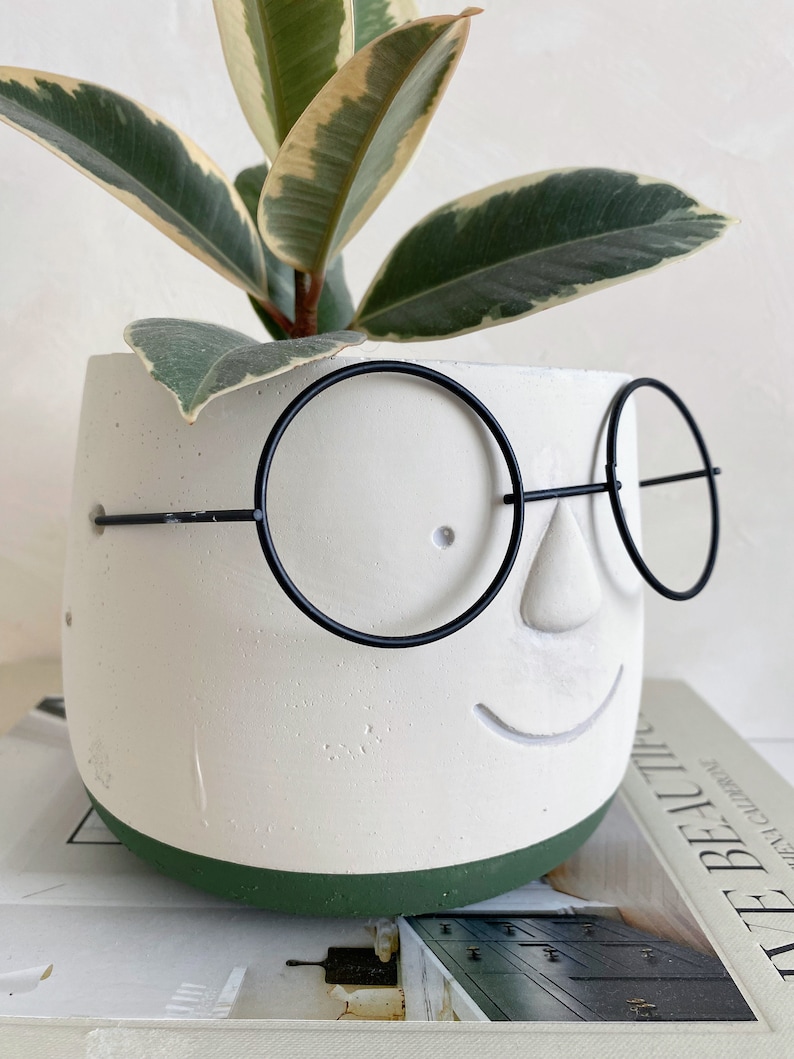 May include: A white concrete planter with a face design and black wire-rimmed glasses, holding a green and cream-colored plant. The base of the planter is painted green. The planter is sitting on top of a book.