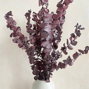 K&ouml;nnte beinhalten: Ein Strau&szlig; getrockneter Eukalyptus Zweige in einem staubigen Rosaton, arrangiert in einer wei&szlig;en Keramikvase.