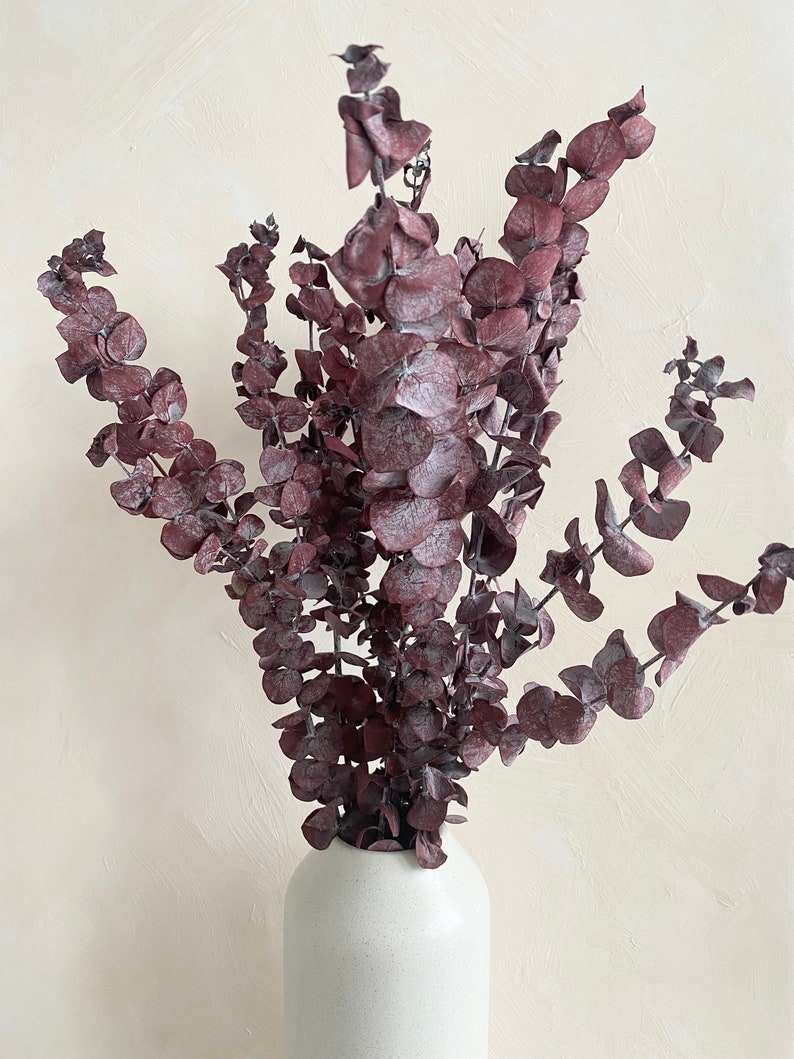 K&ouml;nnte beinhalten: Ein Strau&szlig; getrockneter Eukalyptus Zweige in einem staubigen Rosaton, arrangiert in einer wei&szlig;en Keramikvase.