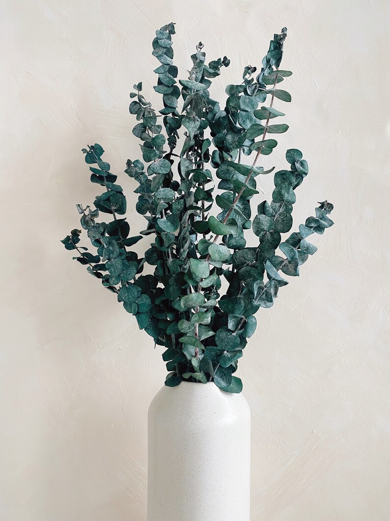 K&ouml;nnte beinhalten: Ein Strau&szlig; getrockneter Eukalyptusbl&auml;tter in einer wei&szlig;en Keramikvase. Die Vase hat eine strukturierte Oberfl&auml;che.
