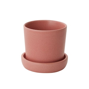 May include: A terracotta-coloured ceramic plant pot with a matching saucer. The pot is cylindrical with a slightly textured surface. The saucer is a shallow, circular dish designed to catch excess water.