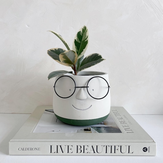 Face with Glasses Planter | Concrete Face Plant Pot | Teacher Gift