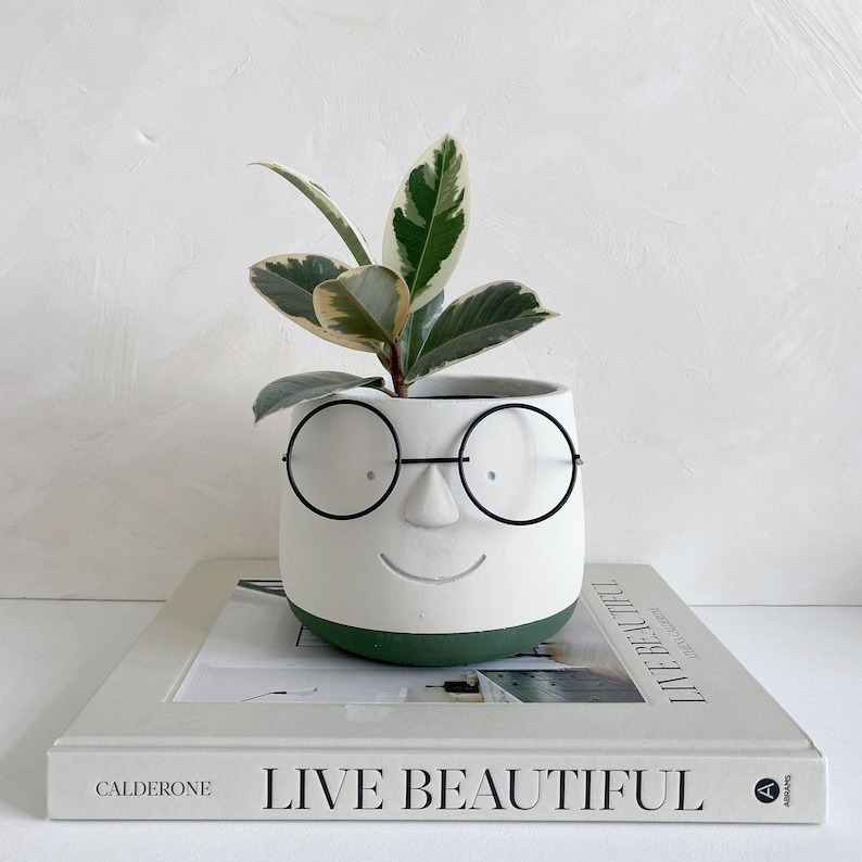 May include: A white ceramic planter with a face design, featuring black wire-rim glasses and a smiling mouth. The planter holds a small plant with green and cream-colored leaves. The planter sits on a book with the words "LIVE BEAUTIFUL".
