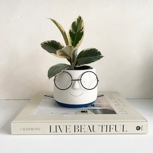 May include: A white ceramic planter with a face design, featuring black glasses and a smiling mouth, holds a plant with green and cream-colored leaves. The planter sits atop a book titled "LIVE BEAUTIFUL".