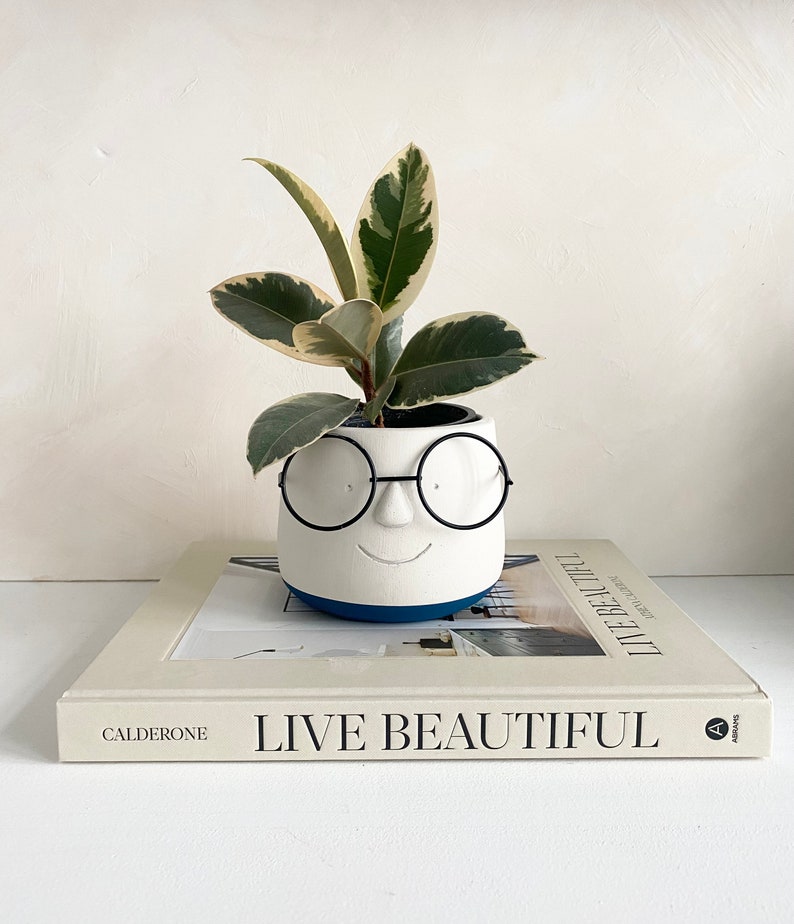 May include: A white ceramic planter with a face design, featuring black glasses and a smiling mouth, holds a plant with green and cream-colored leaves. The planter sits atop a book titled "LIVE BEAUTIFUL".