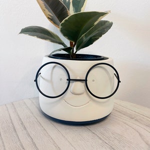May include: A white ceramic planter with a smiling face and black wire-rimmed glasses, holding a ficus plant with green, cream, and burgundy leaves. The planter sits on a light wood-grain surface, creating a whimsical and decorative touch for home decor.