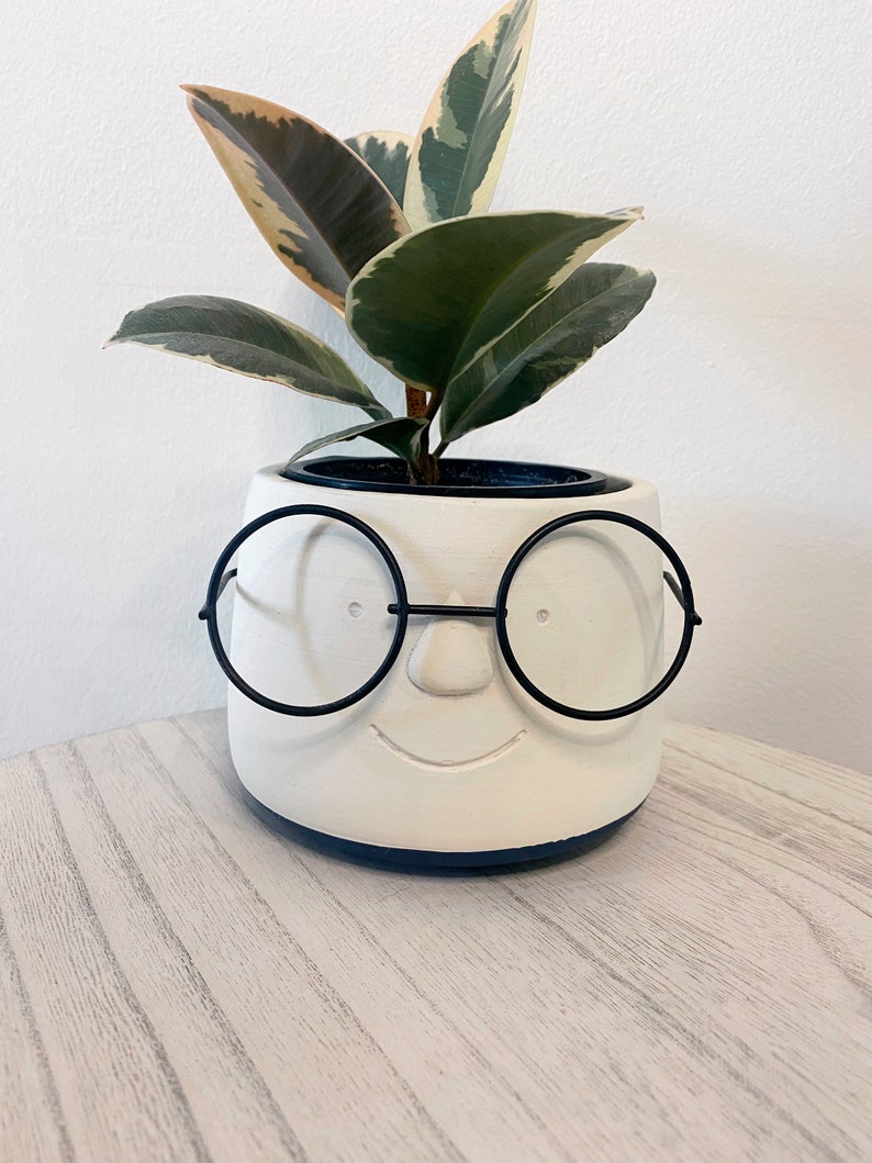 May include: A white ceramic planter with a smiling face and black wire-rimmed glasses, holding a ficus plant with green, cream, and burgundy leaves. The planter sits on a light wood-grain surface, creating a whimsical and decorative touch for home decor.