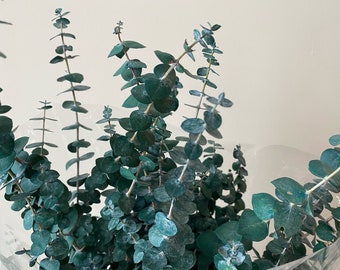 Preserved Eucalyptus Bunch | Fall Home Decor | Green/Red/Blue