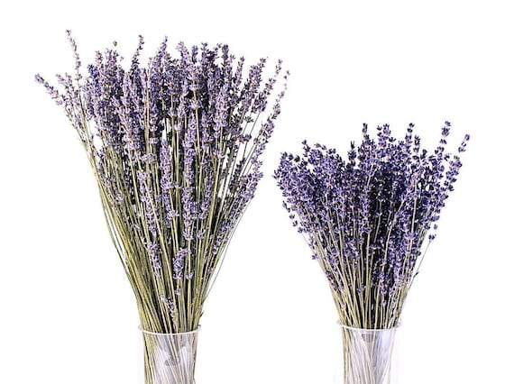Dried Lavender Bunch | Bathroom and Bedroom Decor | Events | Dried Flowers