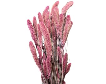 Pink Dried Setaria, Dried Florals, Event Flowers