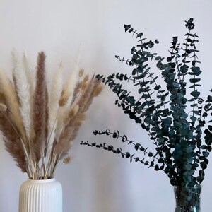 K&ouml;nnte beinhalten: Zwei Vasen mit getrockneten Blumen. Eine wei&szlig;e Keramikvase enth&auml;lt einen Strau&szlig; getrockneter Pampasgr&auml;ser in Braun- und Wei&szlig;t&ouml;nen. Eine klare Glasvase enth&auml;lt einen Strau&szlig; getrockneten Eukalyptus in einem tiefen Blaugr&uuml;n.