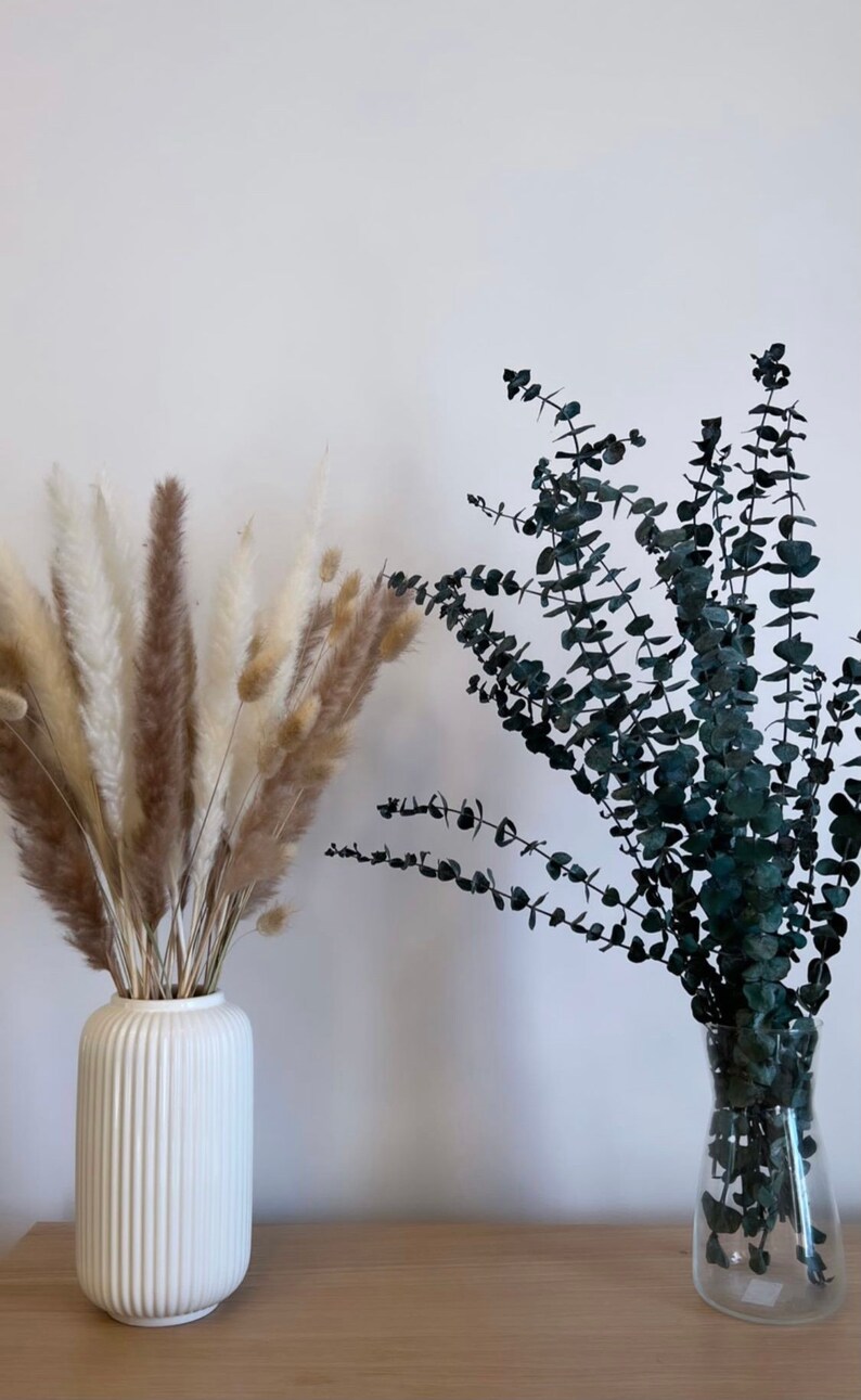 K&ouml;nnte beinhalten: Zwei Vasen mit getrockneten Blumen. Eine wei&szlig;e Keramikvase enth&auml;lt einen Strau&szlig; getrockneter Pampasgr&auml;ser in Braun- und Wei&szlig;t&ouml;nen. Eine klare Glasvase enth&auml;lt einen Strau&szlig; getrockneten Eukalyptus in einem tiefen Blaugr&uuml;n.
