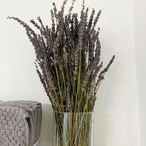 May include: A glass vase filled with dried lavender flowers. The vase is clear and cylindrical. The lavender is a light purple color and the stems are brown.