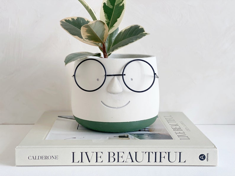 May include: A white ceramic planter with a face design, featuring black wire-rimmed glasses and a smiling mouth. The base is painted green. The planter holds a plant with green and white leaves. The planter sits on a book that says "LIVE BEAUTIFUL".