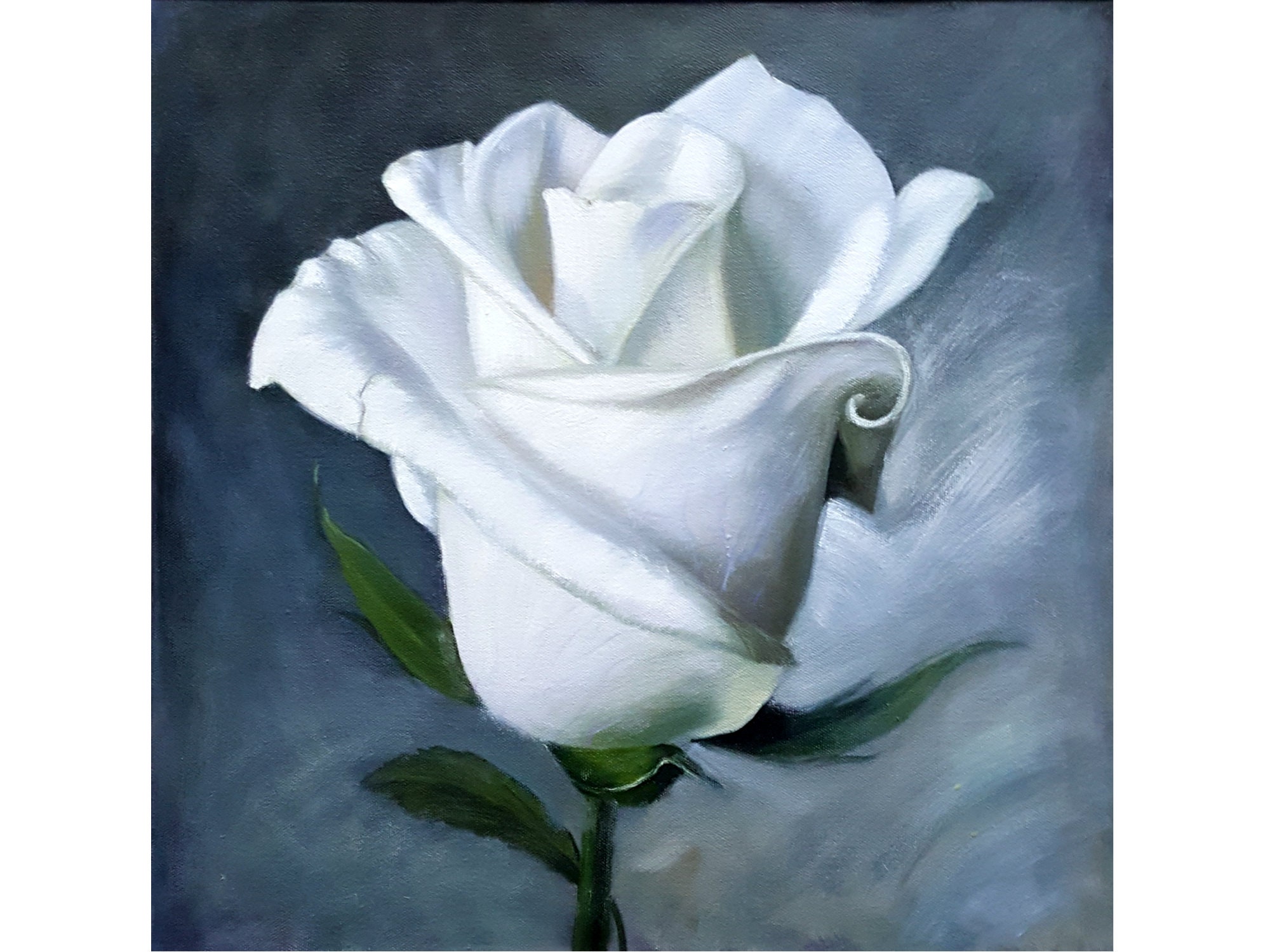 White Rose Painting Floral Original Art 23 by 23 Flower Etsy