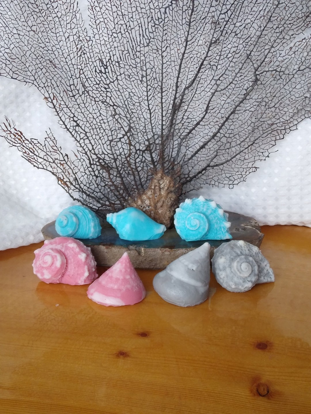 Seashell Soaps 7 Light, Shell Soap, Sea Shell Soap, Beach Theme Decor ...