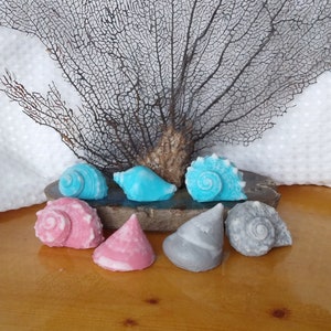 7 Seashell soaps Dark, Shell soap, sea shell soap, beach theme decor, novelty soap, Finger soap, bath soap, hand soap, ocean theme decor