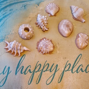 8 Seashell soaps Dark, Shell soap, sea shell soap, beach theme soap, novelty soap, Finger soap, bath soap, hand soap, soap, beach decor