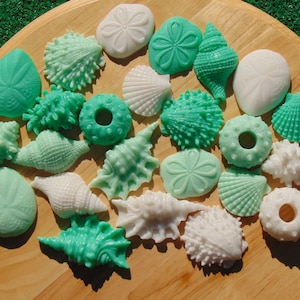 Seashell soaps (24) Light, Shell soap, sea shell soap, beach theme soap, novelty soap, Finger soap, bath soap, hand soap, soap, beach decor