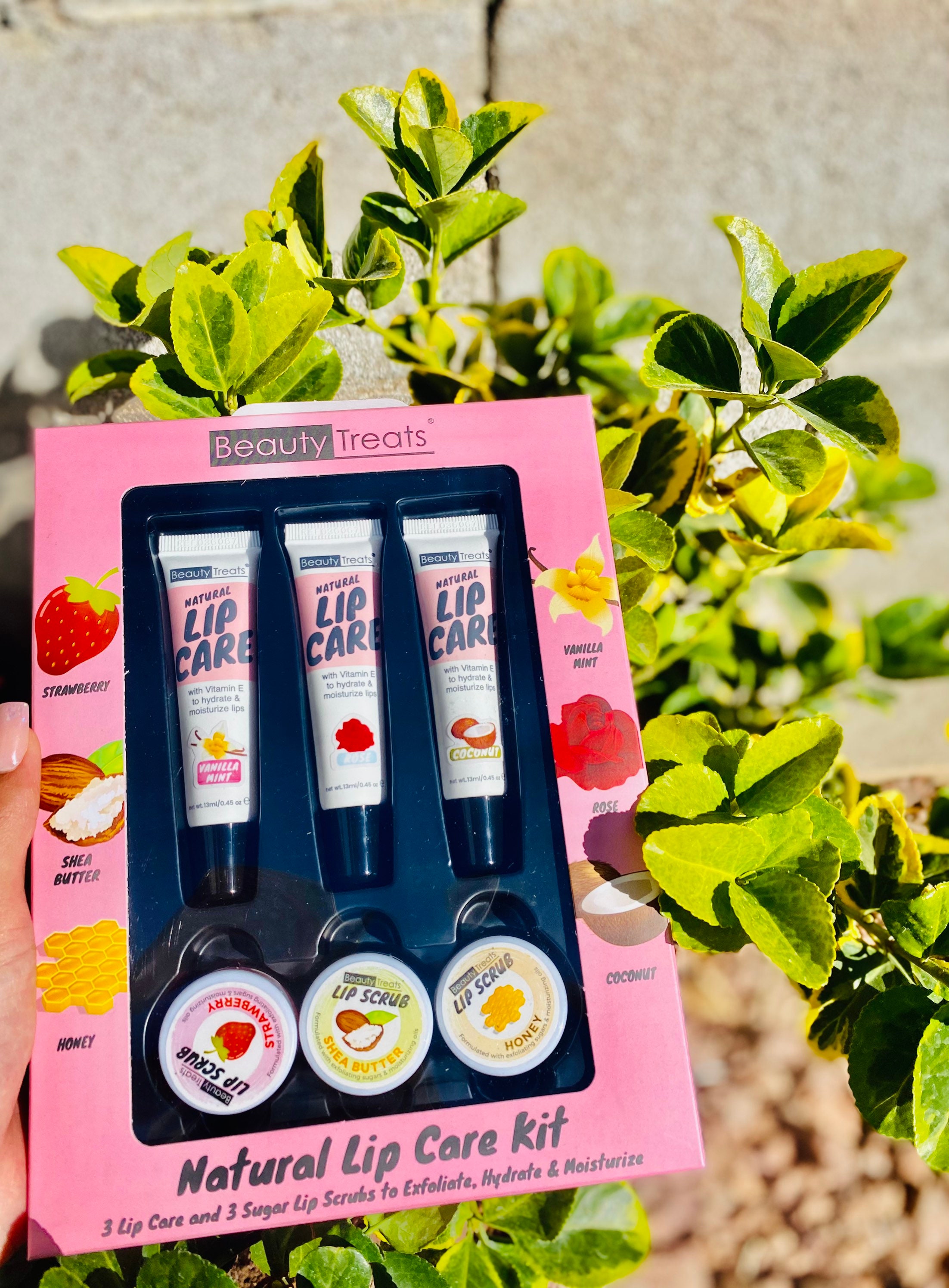 Natural Lip Care Kit Etsy