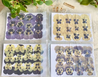 12 PCs DIY Pressed Flower Large Pansies Handmade Natural Dried Specimens, For Resin Artwork Phone Case Kit, Purple Floral Viola