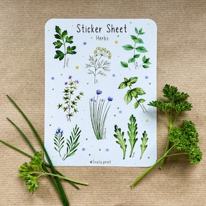 Sticker herbs | Herbs | Sticker bullet journal | Journal stickers