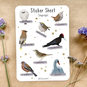 Sticker Singvögel | Aufkleber Bulletjournal | Journal Sticker | Sticker Natur & Vögel