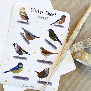Sticker Singvögel | Aufkleber Bulletjournal | Journal Sticker | Sticker Natur & Vögel